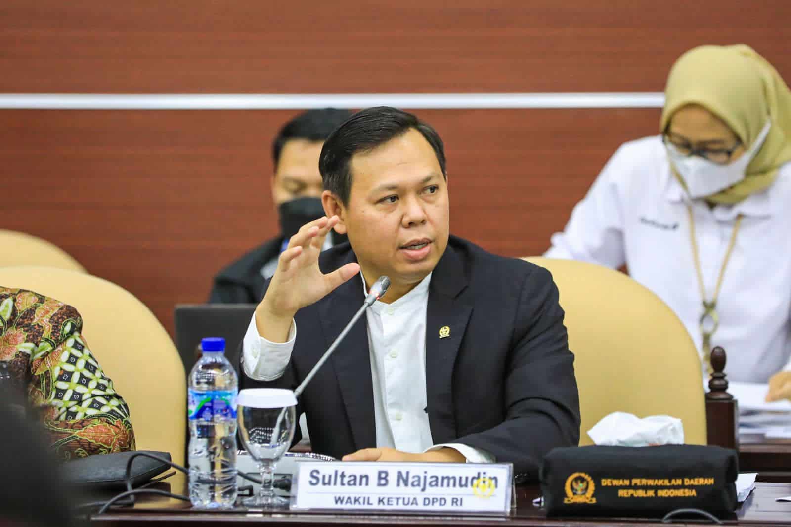 Wakil ketua Dewan Perwakilan Daerah (DPD), Sultan B Najamudin. Foto: istimewa