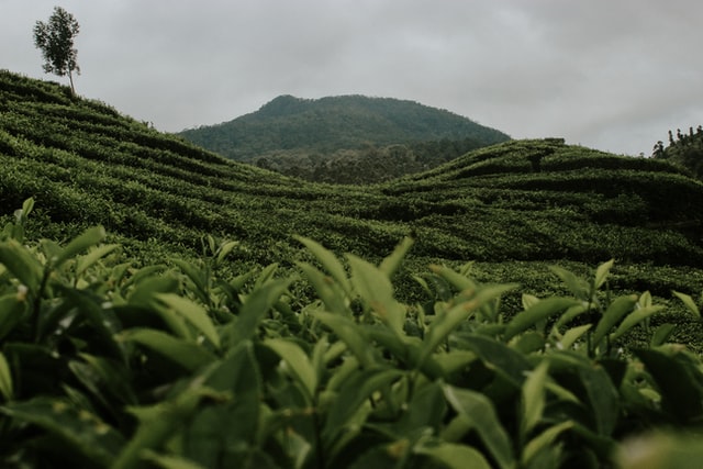 Wisata Bandung, Intip 4 Rekomendasi Obyek Wisata Keren Ini