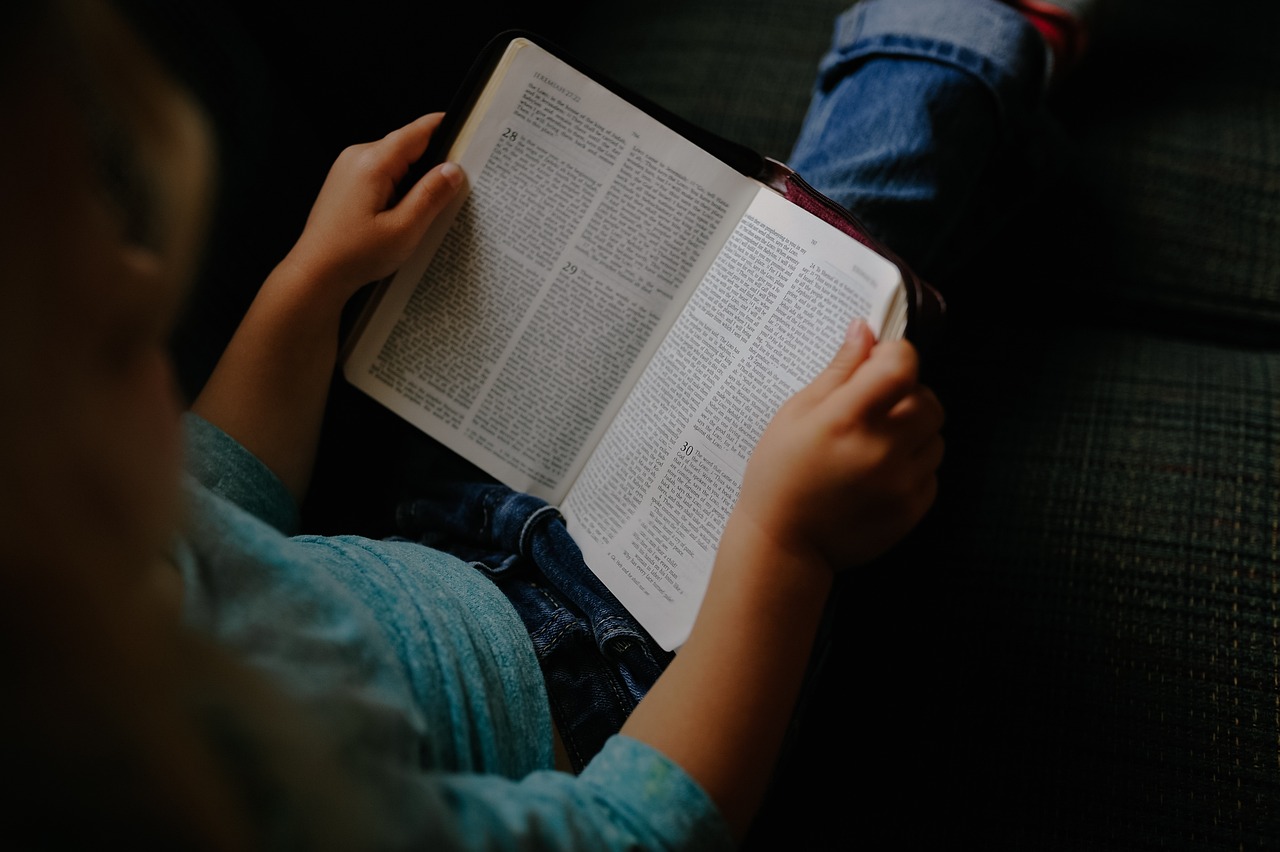 Ilustrasi membaca buku. Foto: StockSnap/Pixabay