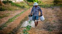 Petani Ilustrasi petani peladang. Foto: istimewa