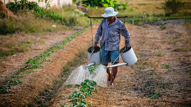 Ilustrasi petani peladang. Foto: istimewa