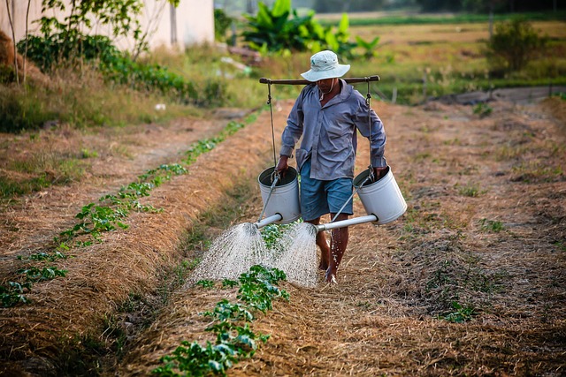 Ilustrasi petani peladang. Foto: istimewa