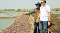UNDP bersama Wakil Menter Luar Negeri Havas, Dirjen KKP Tb. Haeru, dan perwakilan dari kementrian bappenas dan pembudidaya rumput laut mengunjungi tambak di Tlocor dan koperasi Agar Makmur. Credit photo: UNDP