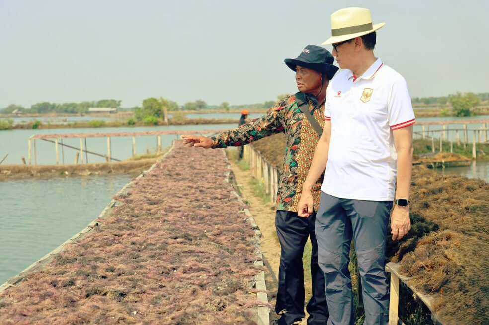 UNDP bersama Wakil Menter Luar Negeri Havas, Dirjen KKP Tb. Haeru, dan perwakilan dari kementrian bappenas dan pembudidaya rumput laut mengunjungi tambak di Tlocor dan koperasi Agar Makmur. Credit photo: UNDP